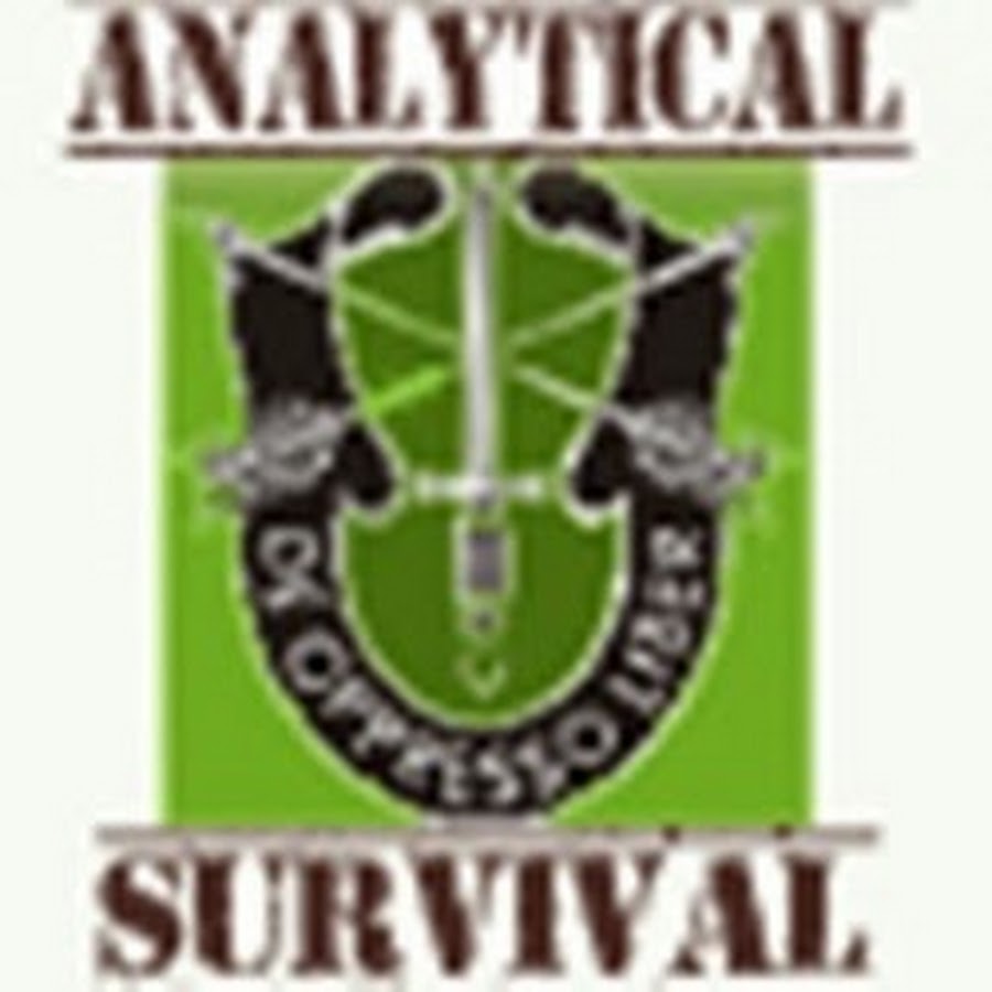 AnalyticalSurvival YouTube channel avatar