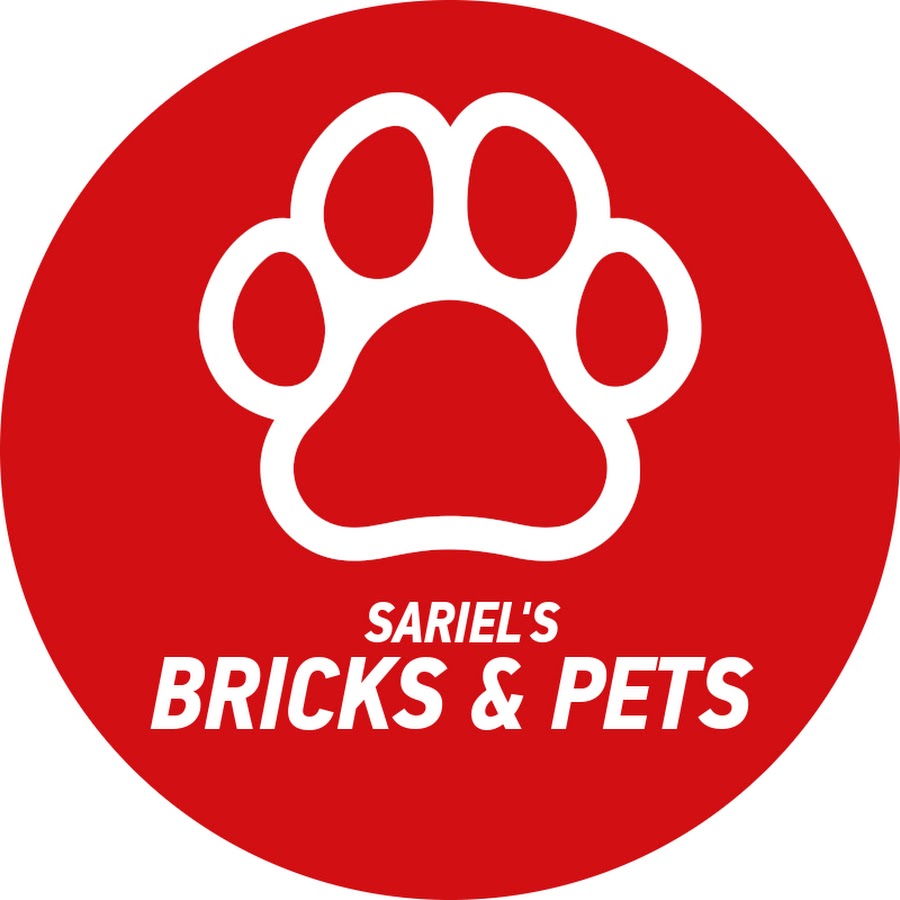 Sariel's LEGOÂ® Workshop YouTube channel avatar