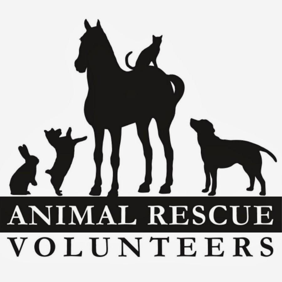 Animal Rescue Volunteers YouTube channel avatar