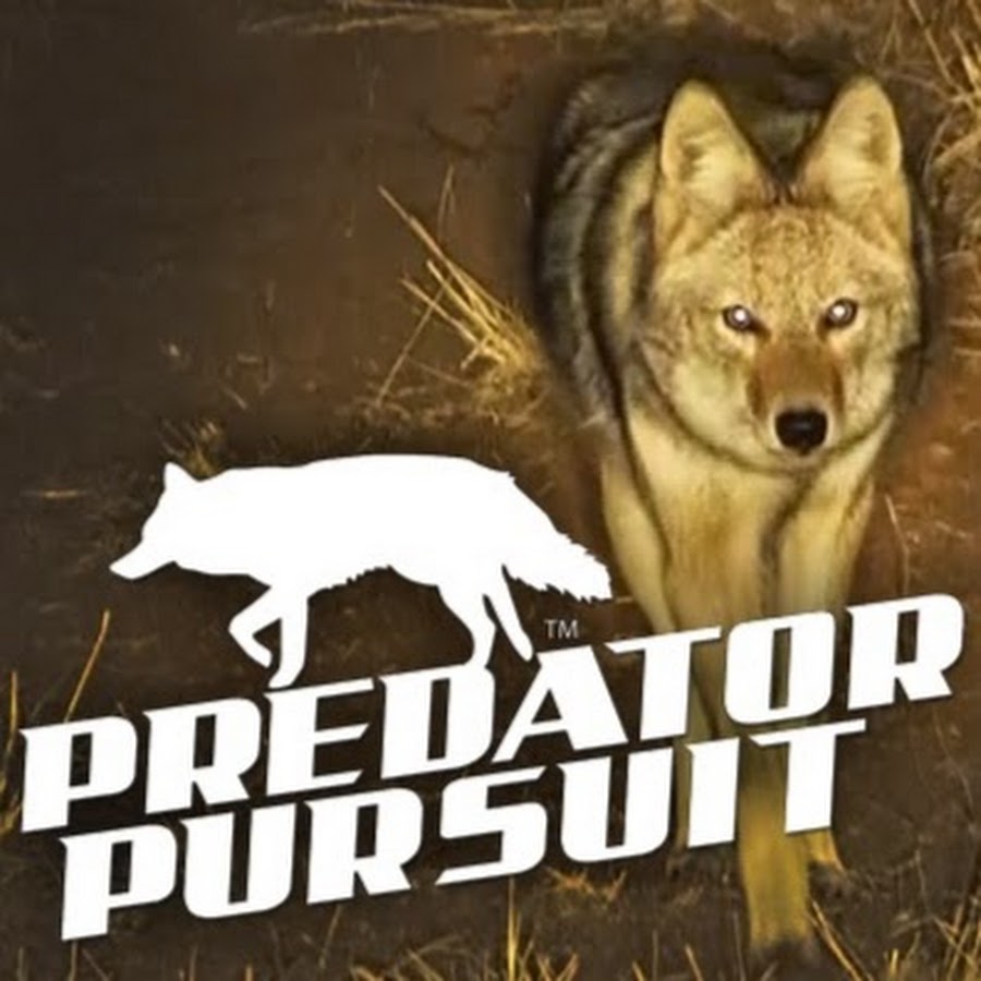 PredatorPursuit