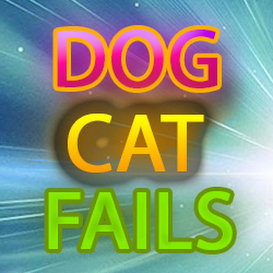 Dog Cat Fails رمز قناة اليوتيوب