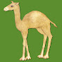 Camelia Camel - @CameliaTheCamel YouTube Profile Photo