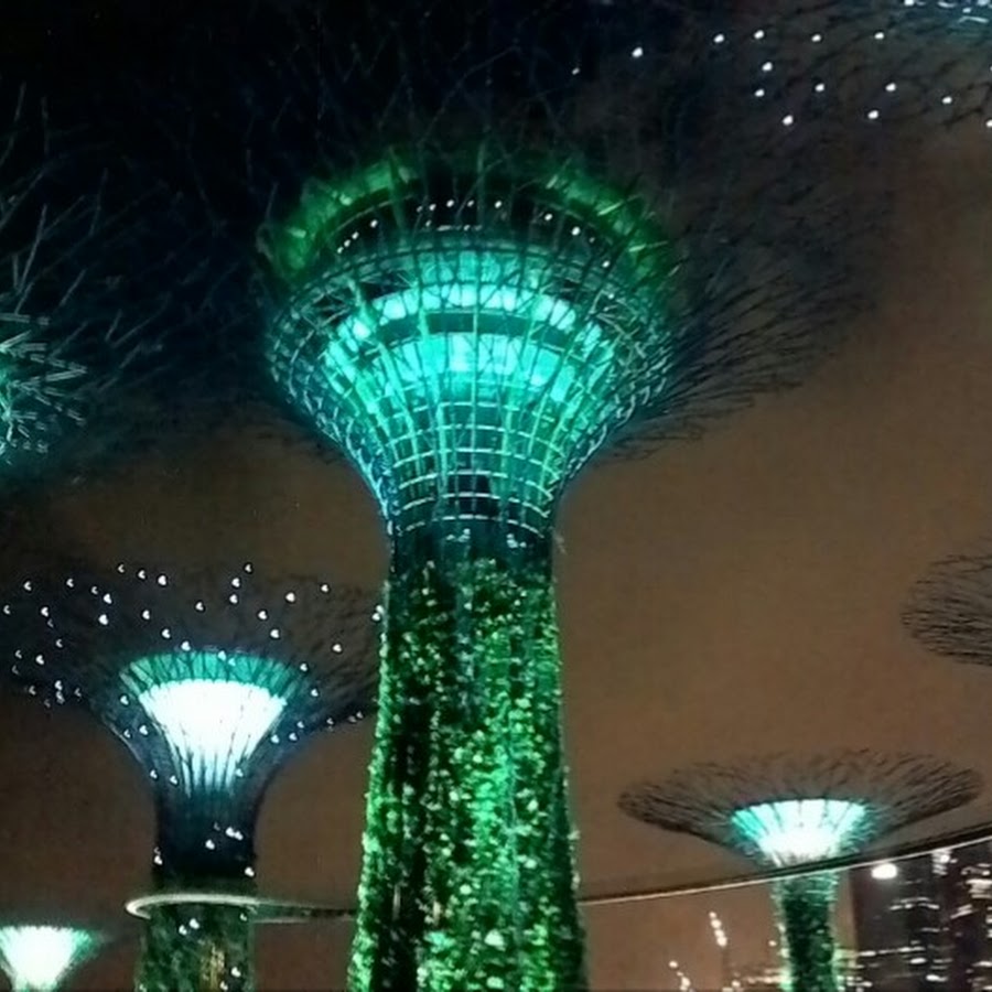 坂本裕子 Youtube