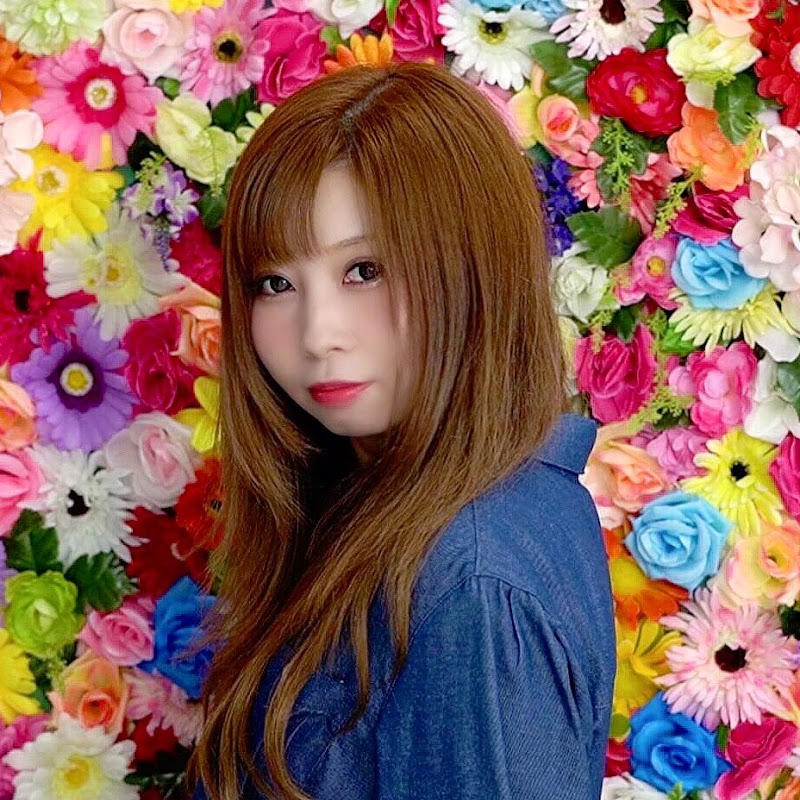 Profile サキ吉ちゃんねる Wizdeo Analytics