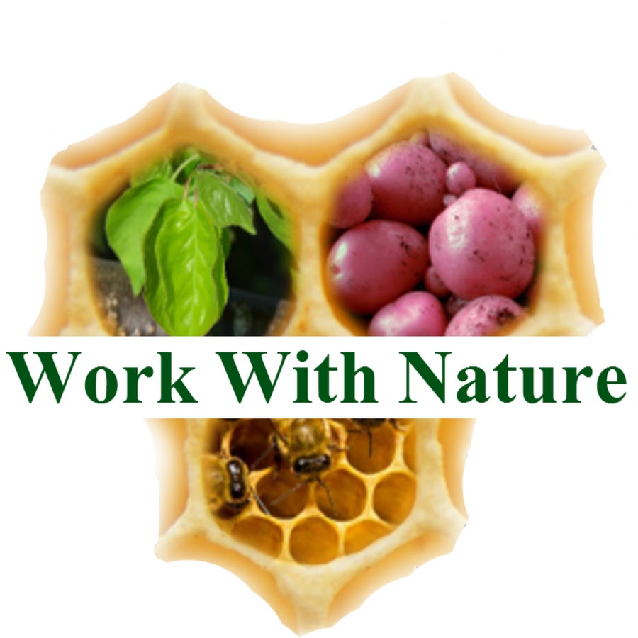 Work With Nature YouTube channel avatar