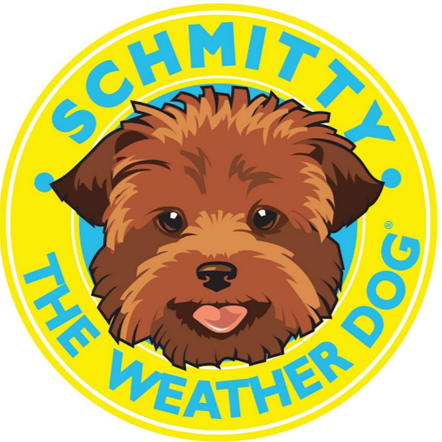 Schmitty The Weather Dog YouTube channel avatar