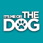It's Me or the Dog - @ItsMeOrTheDogTV  YouTube Profile Photo