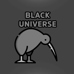 BLACK UNIVERSE