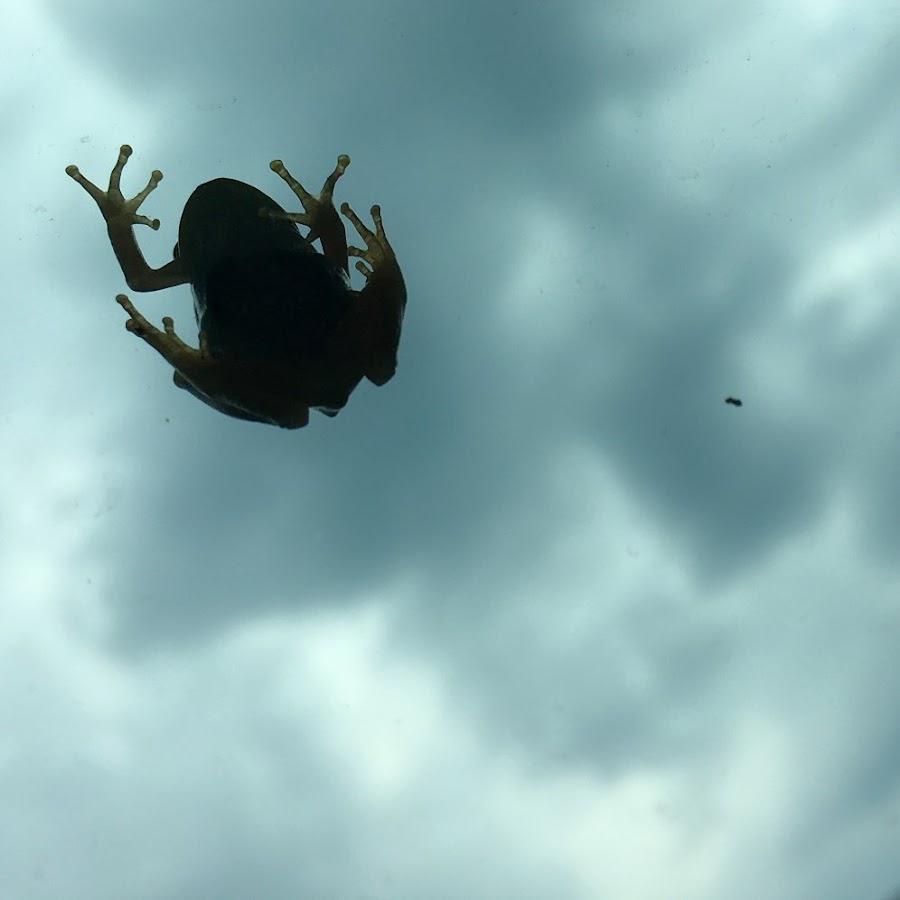 そそり立つ壁 Youtube