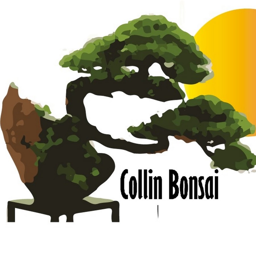 COLLIN BONSAI YouTube channel avatar