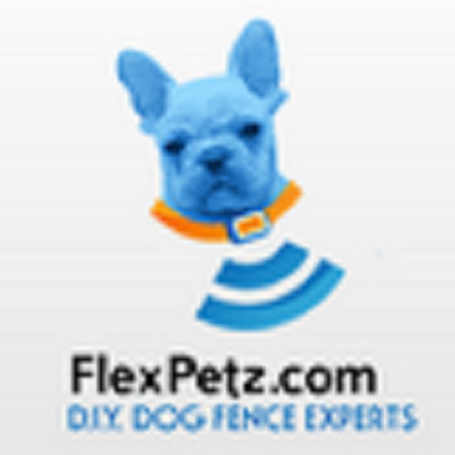 Flexpetz YouTube channel avatar