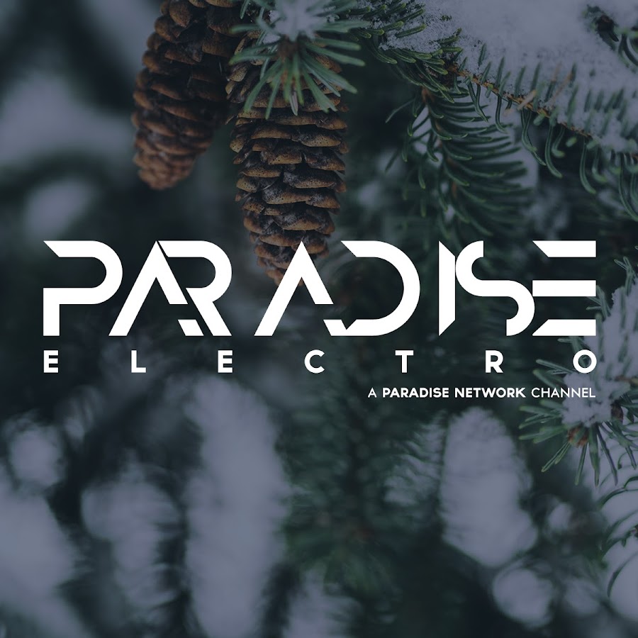 Electro Paradise