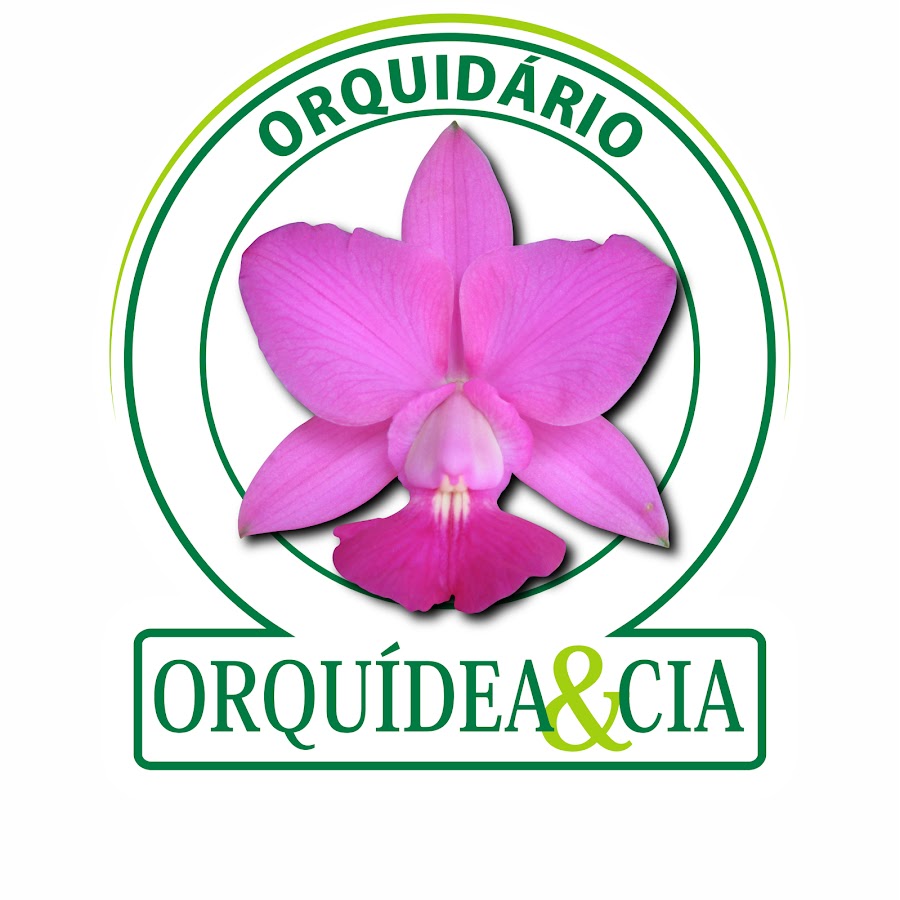 OrquidÃ¡rio OrquÃ­dea&Cia YouTube channel avatar