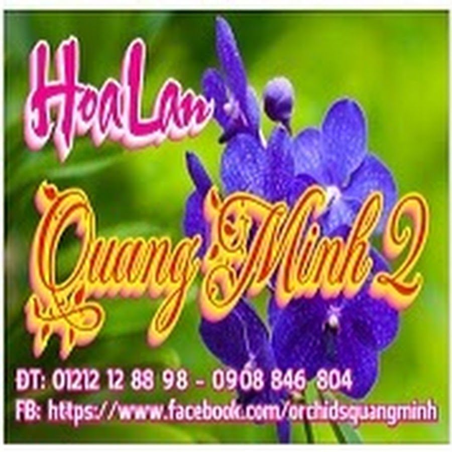 Hoa lan Quang Minh YouTube channel avatar