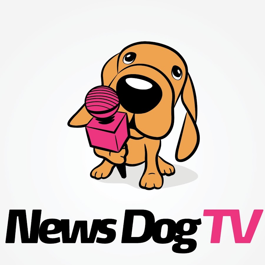 News Dog TV ইউটিউব চ্যানেল অ্যাভাটার