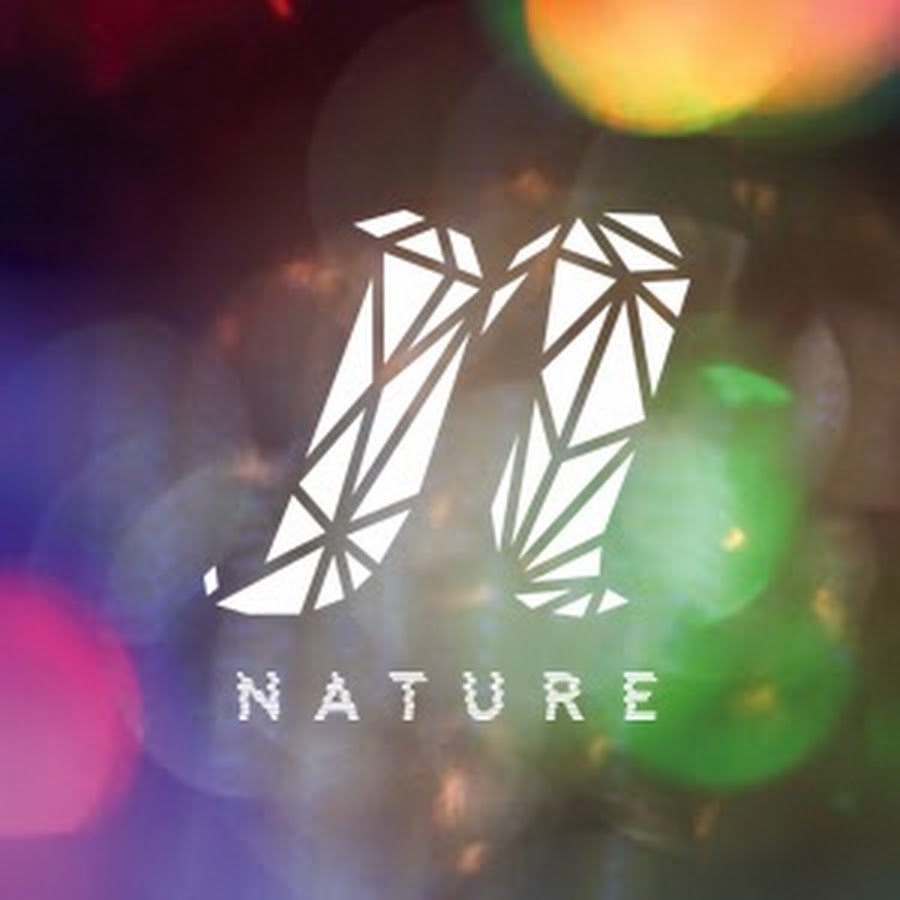 NATURE OFFICIAL YouTube channel avatar