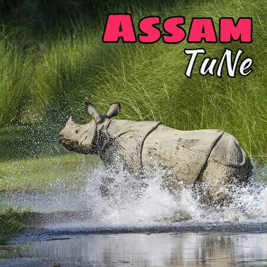 Assam TuNe