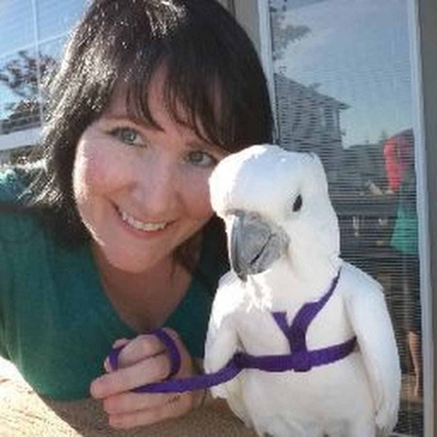 Penny the Cockatoo Parrot and Family