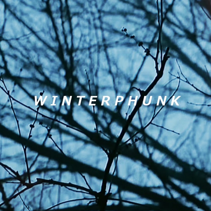 winterphunk YouTube 频道头像