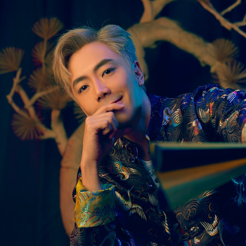 Nick Chung 钟盛忠 - 網紅的藏寶箱 