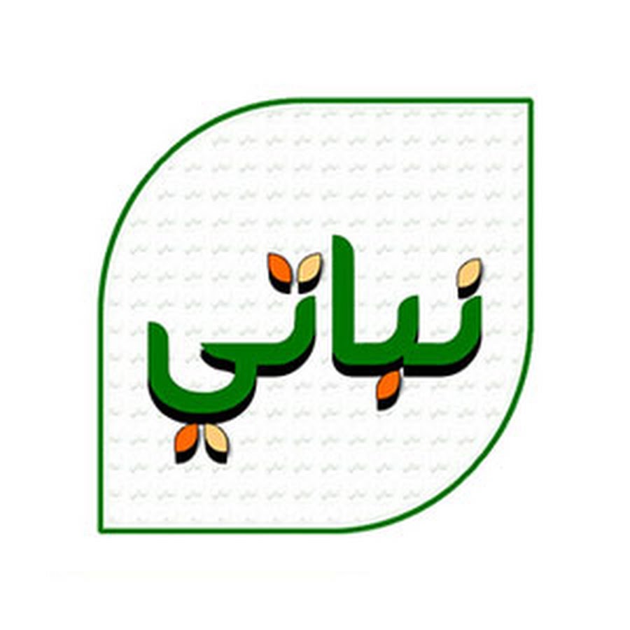 Nabati YouTube channel avatar