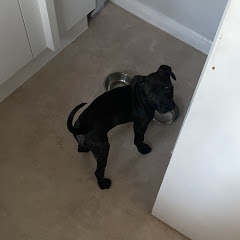 Thumbnail of related channel