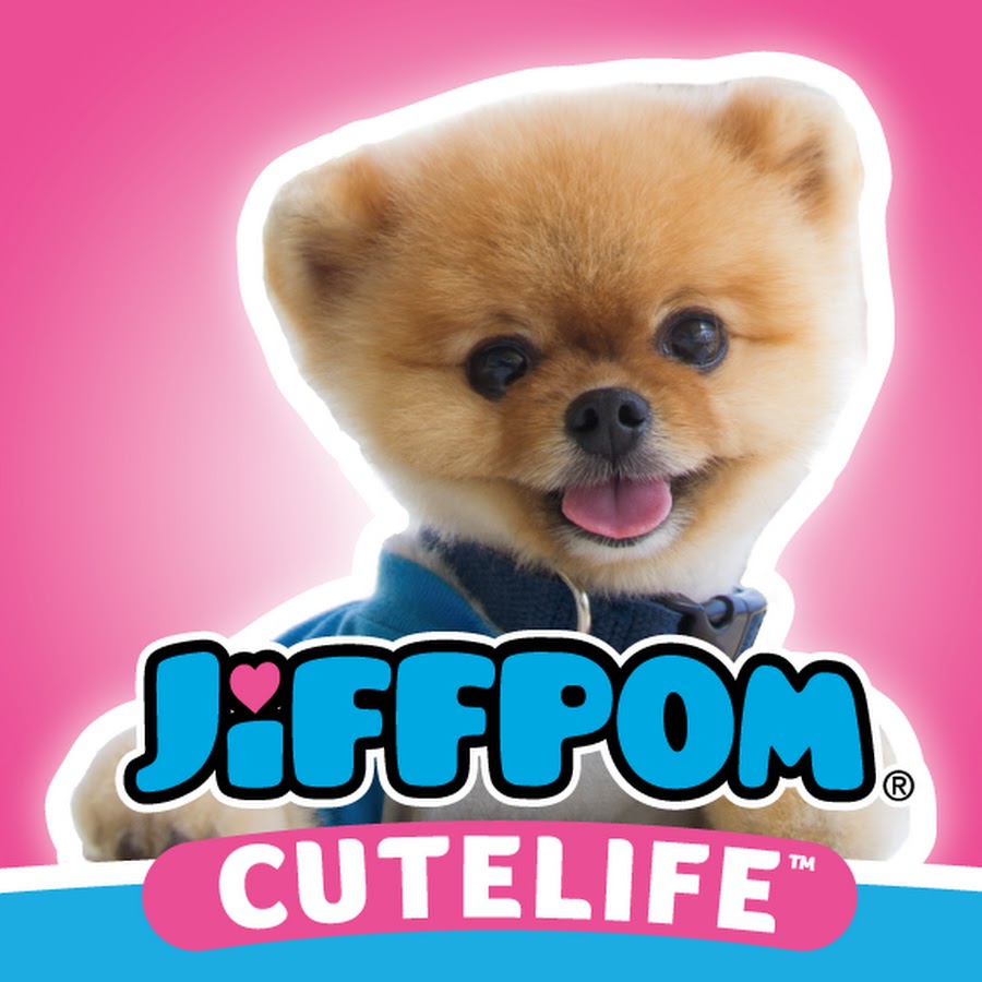 jiffpom رمز قناة اليوتيوب