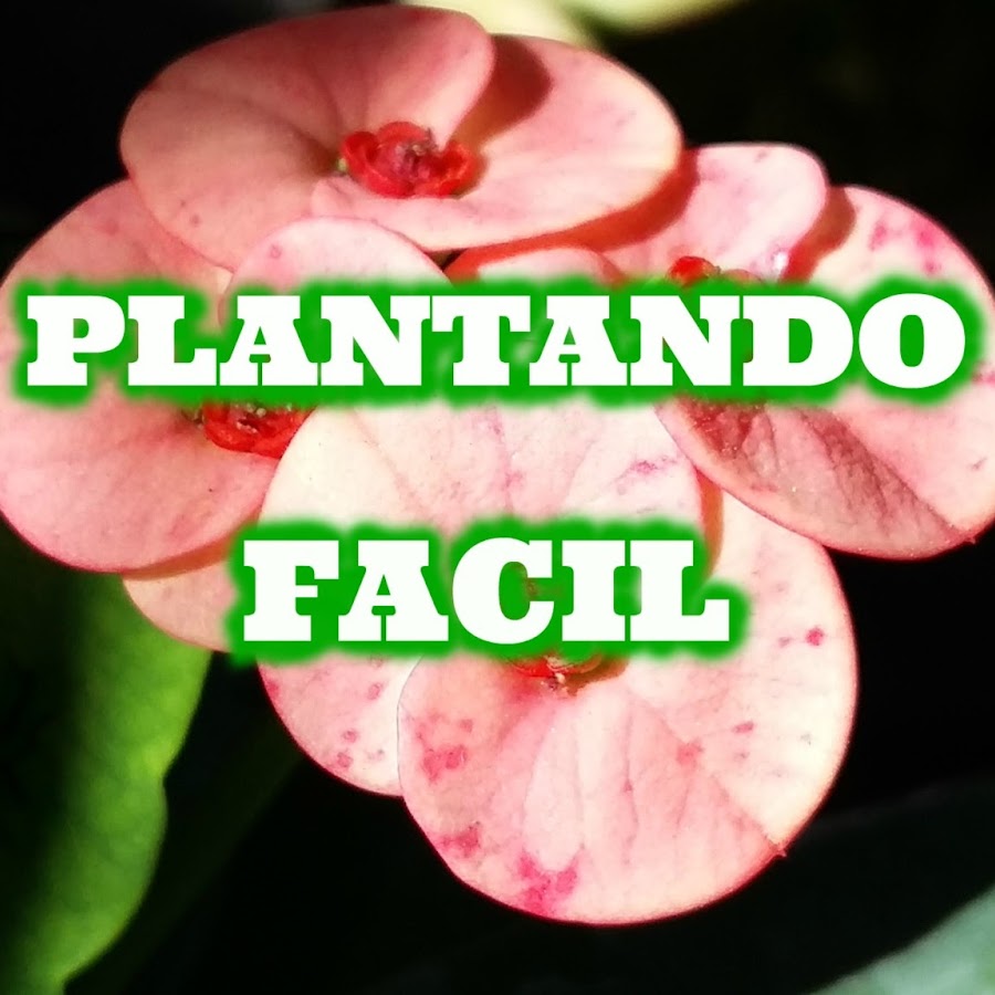 Plantando FÃ¡cil YouTube channel avatar