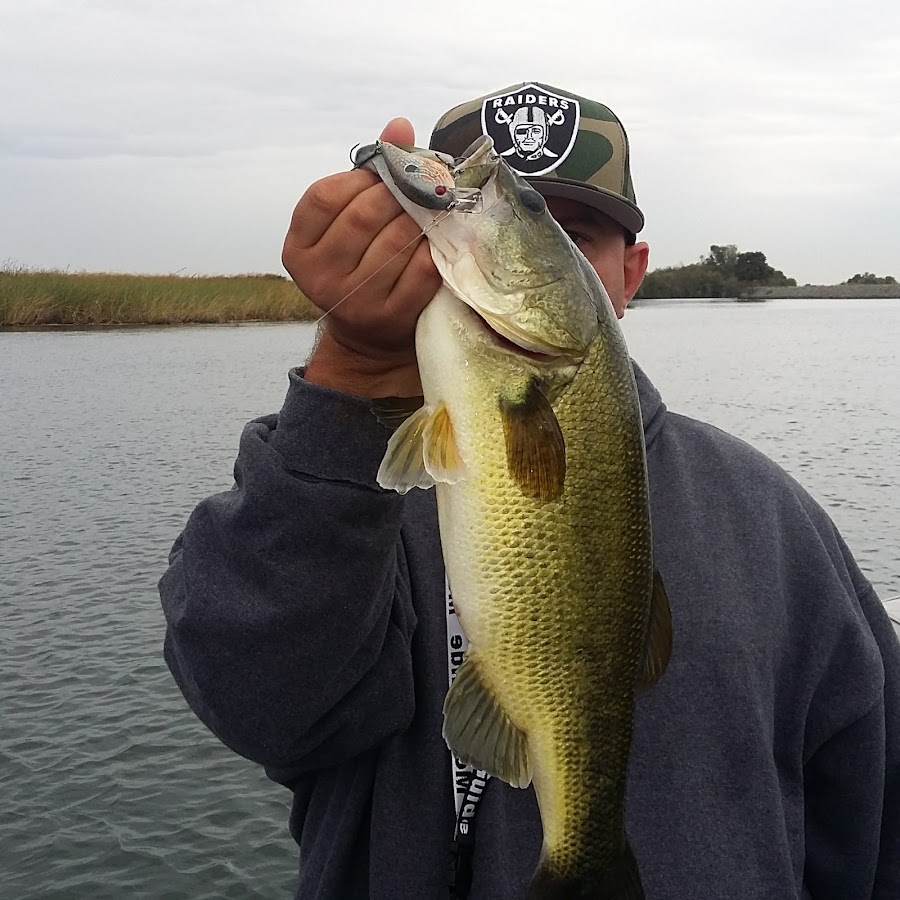 Bass Monkey Fishing