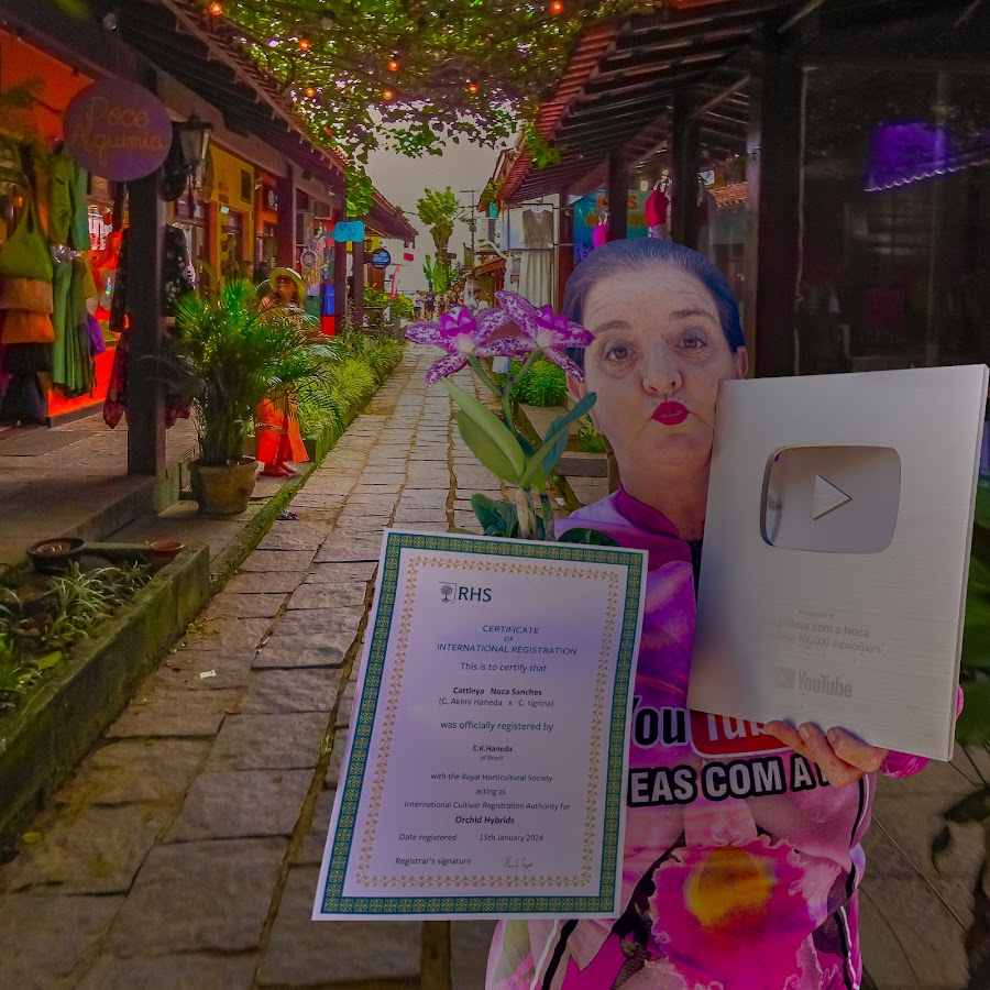 Cuidando de orquideas com a Noca YouTube kanalı avatarı