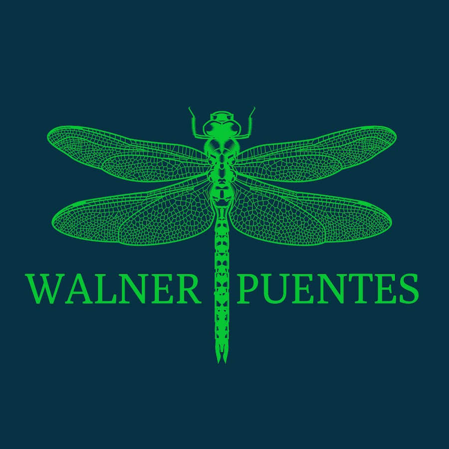 Walner Puentes YouTube channel avatar