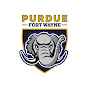 Purdue Fort Wayne Mastodons - @IPFWAthletics YouTube Profile Photo