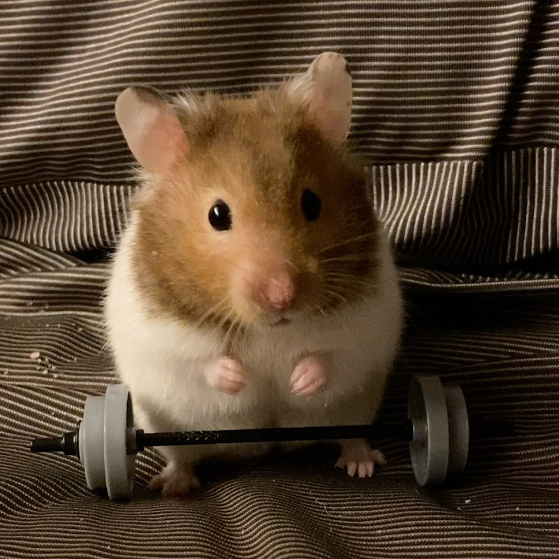 big killer - 網紅的藏寶箱 