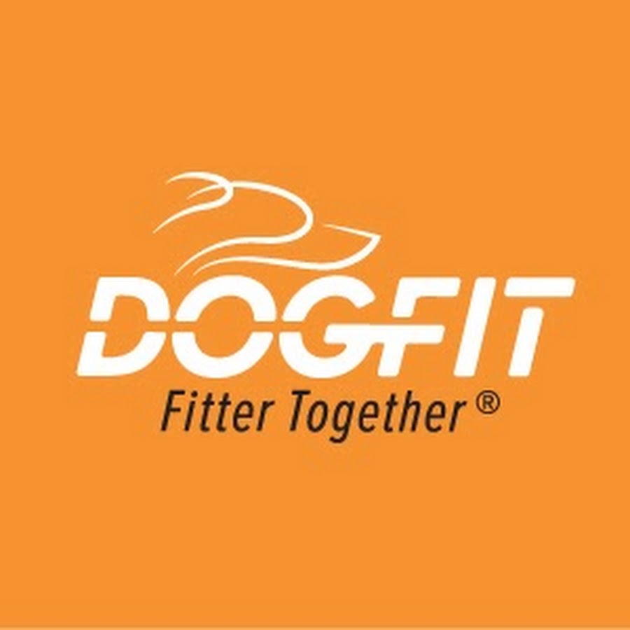 DogFit ইউটিউব চ্যানেল অ্যাভাটার