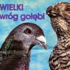 wspaniały świat wędkarskich przygód