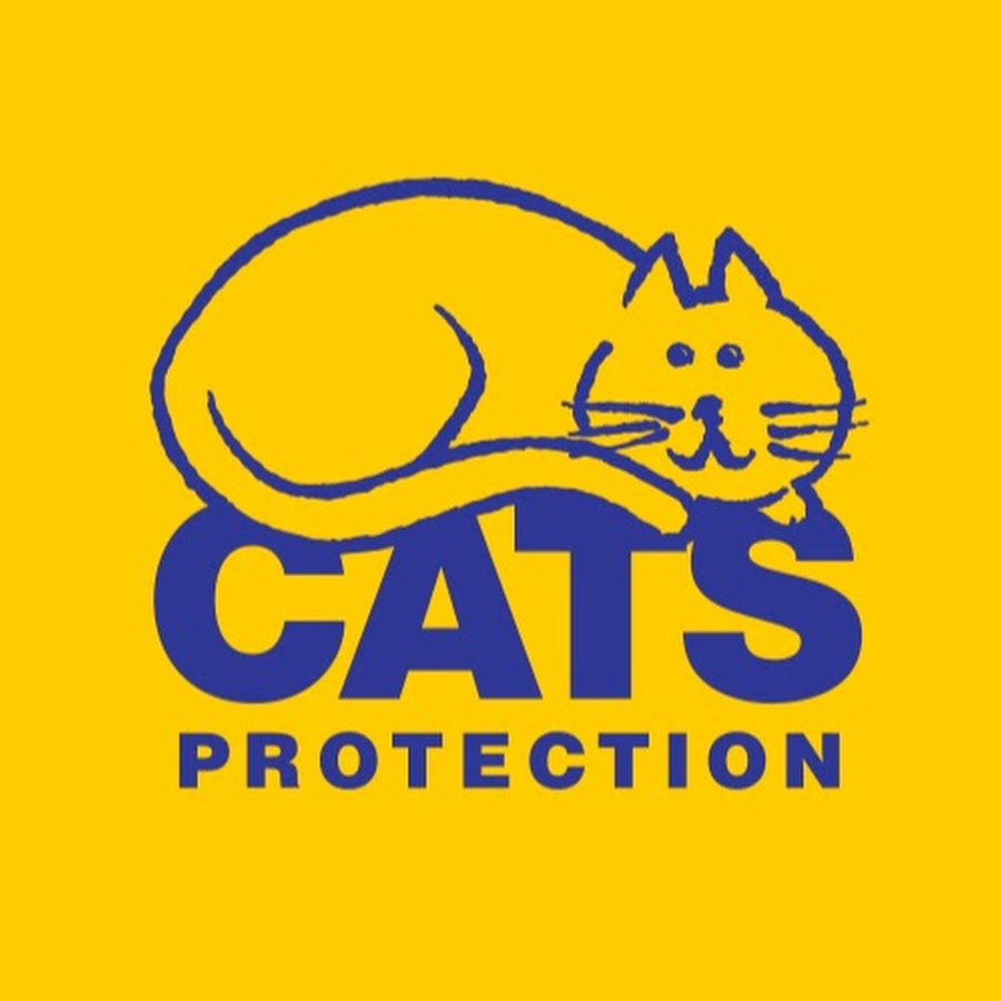 Cats Protection Avatar de chaîne YouTube