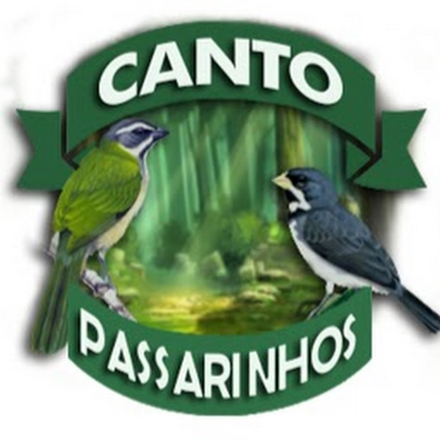 Cantos de Passarinhos YouTube-Kanal-Avatar