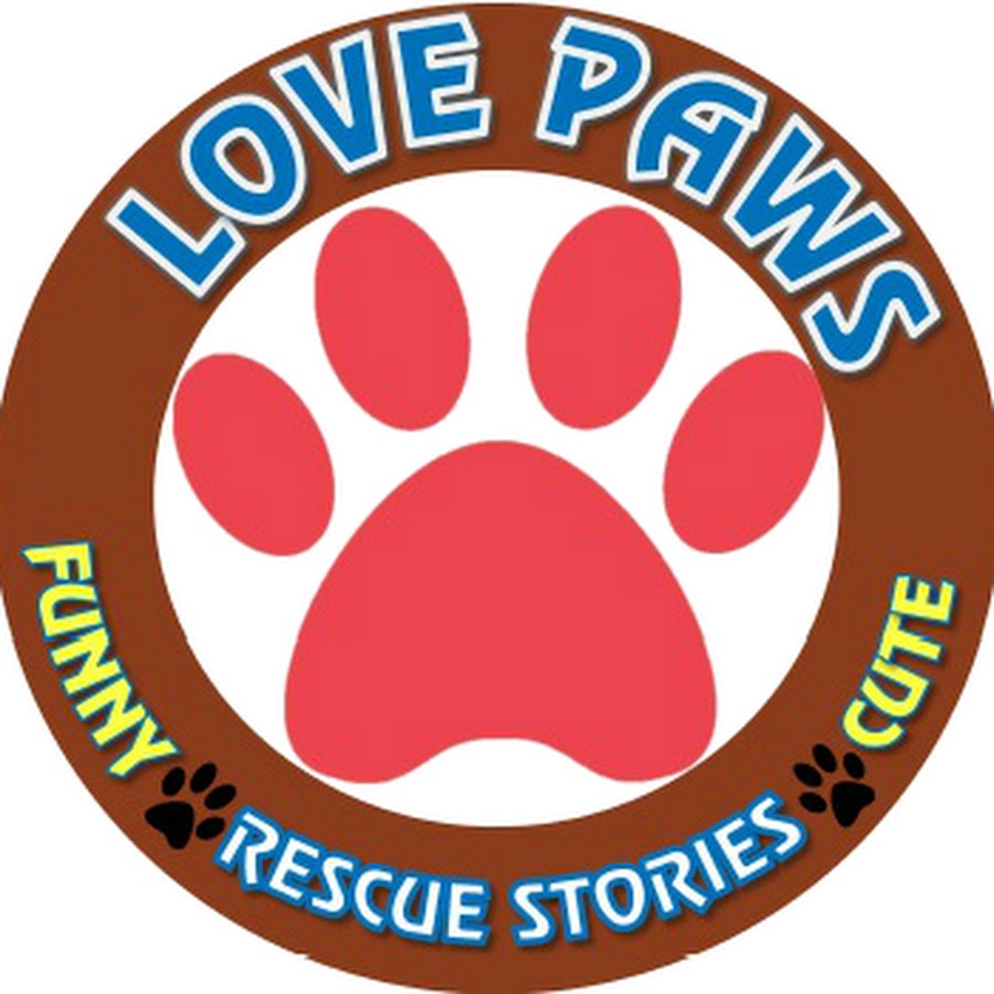 LOVE PAWS YouTube channel avatar