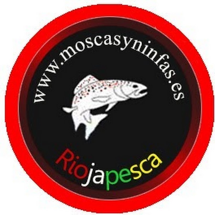 Moscas y Ninfas YouTube channel avatar