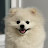 Kpup Star