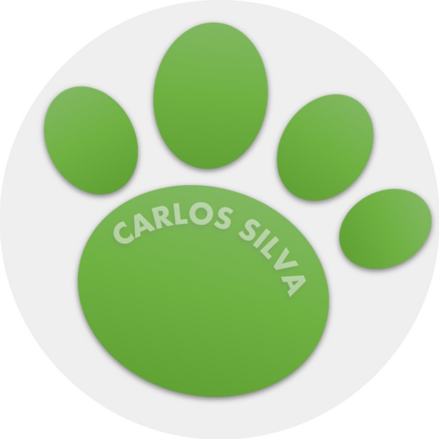 Carlos Silva YouTube channel avatar