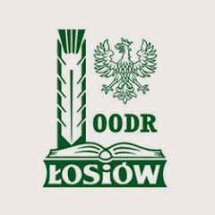 OODR Łosiów