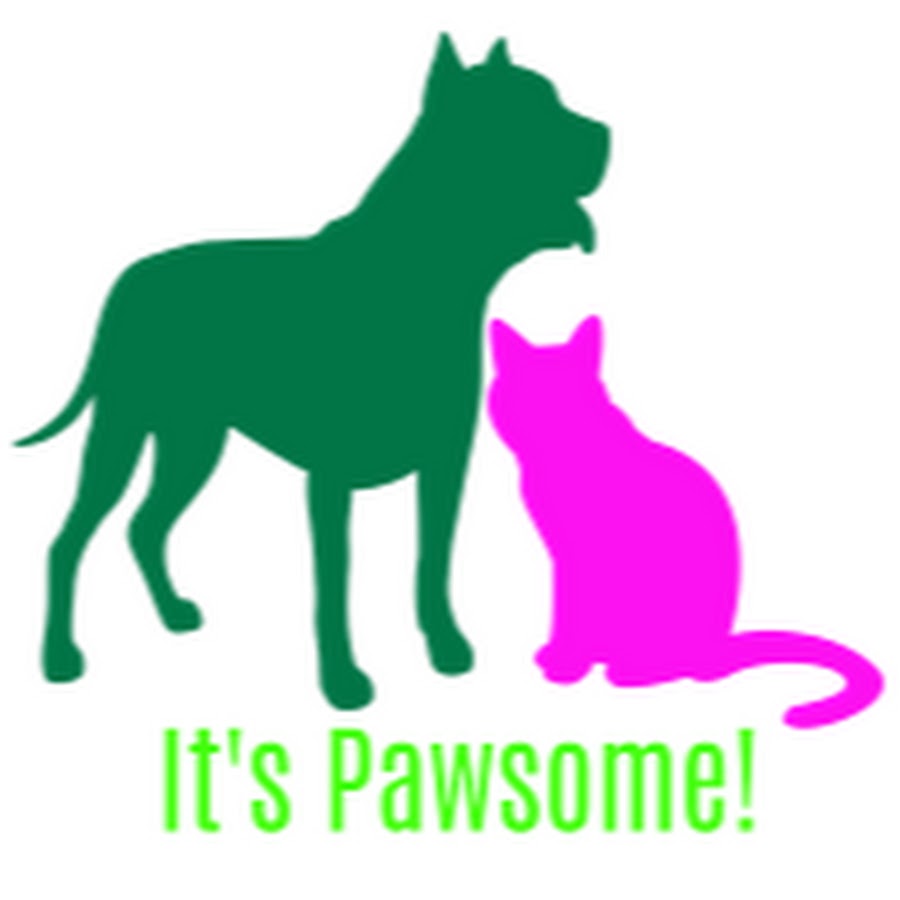 It's Pawsome Avatar channel YouTube 