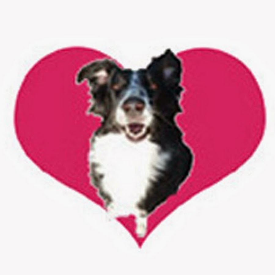 Love Wags A Tail YouTube channel avatar