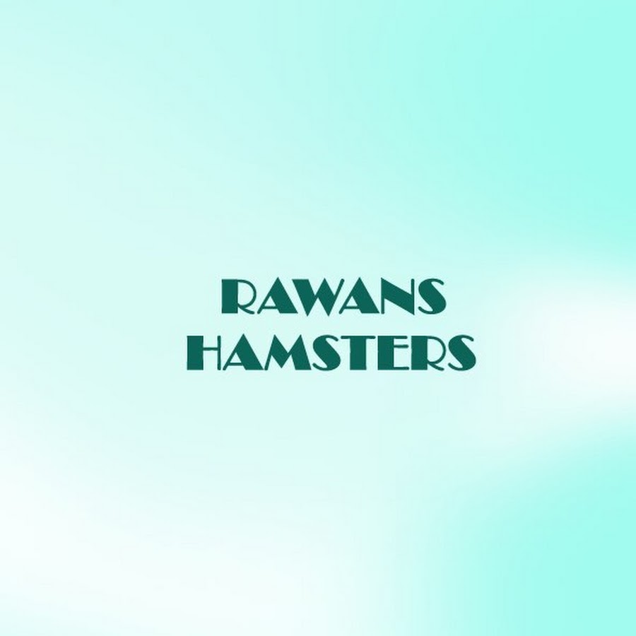 RAWAN'S HAMSTERS