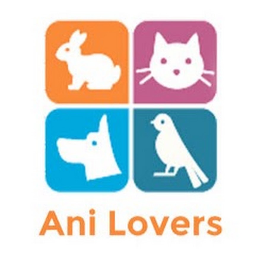 Ani Lovers YouTube 频道头像