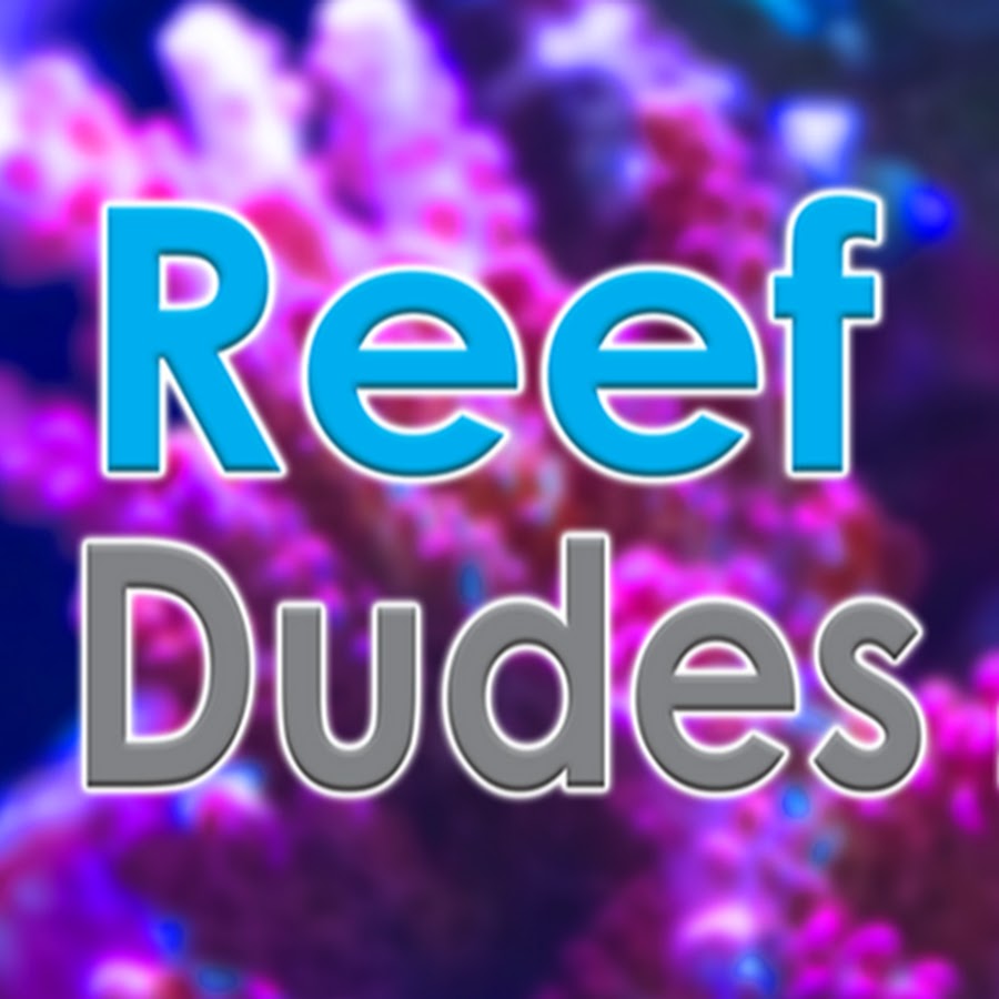 ReefDudes Awatar kanału YouTube