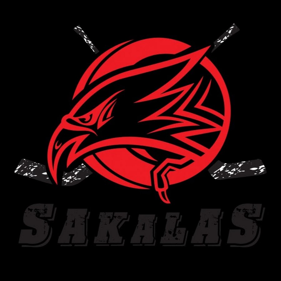 thesakalas1 YouTube channel avatar