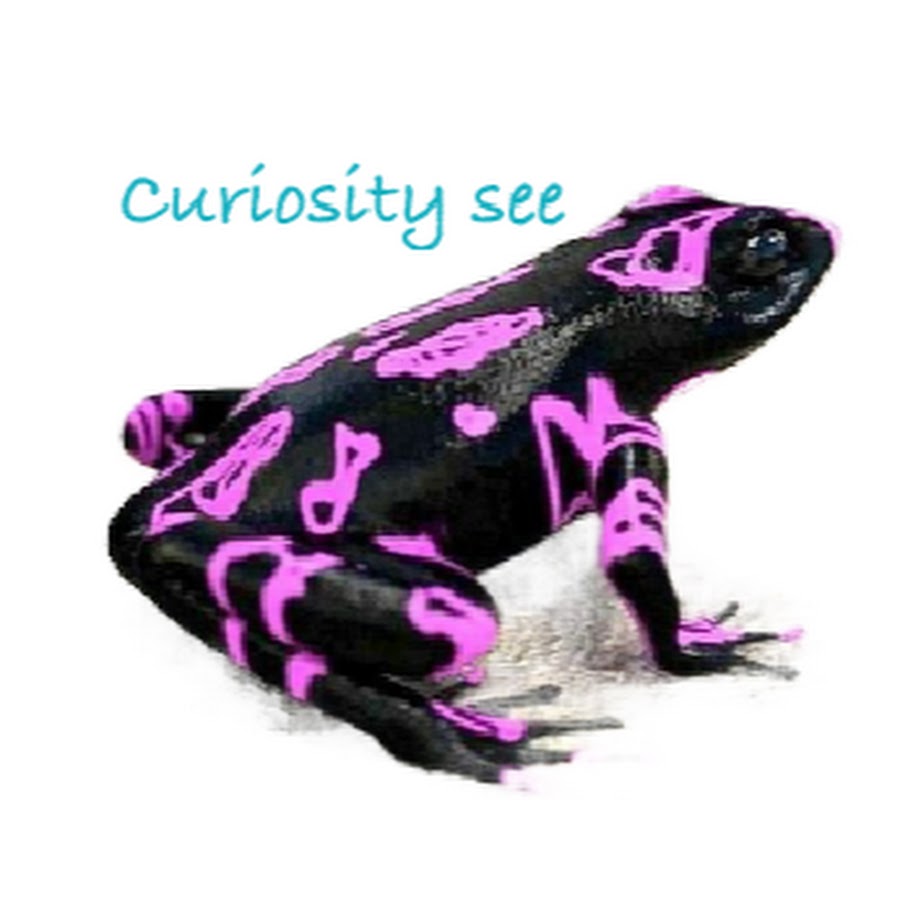curiosity see Awatar kanału YouTube