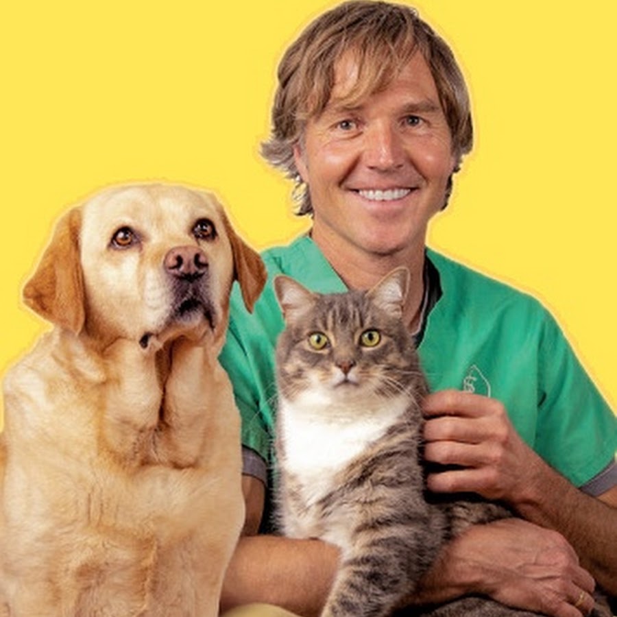 Veterinary Secrets Avatar de canal de YouTube